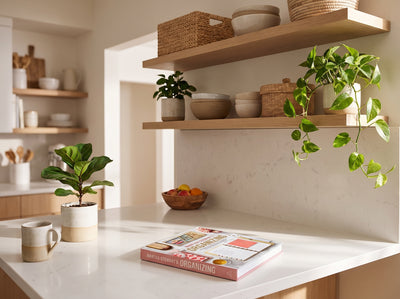 Home Organizing Manual
