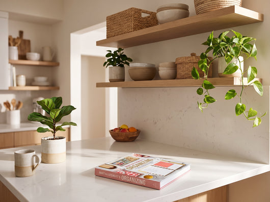 Home Organizing Manual